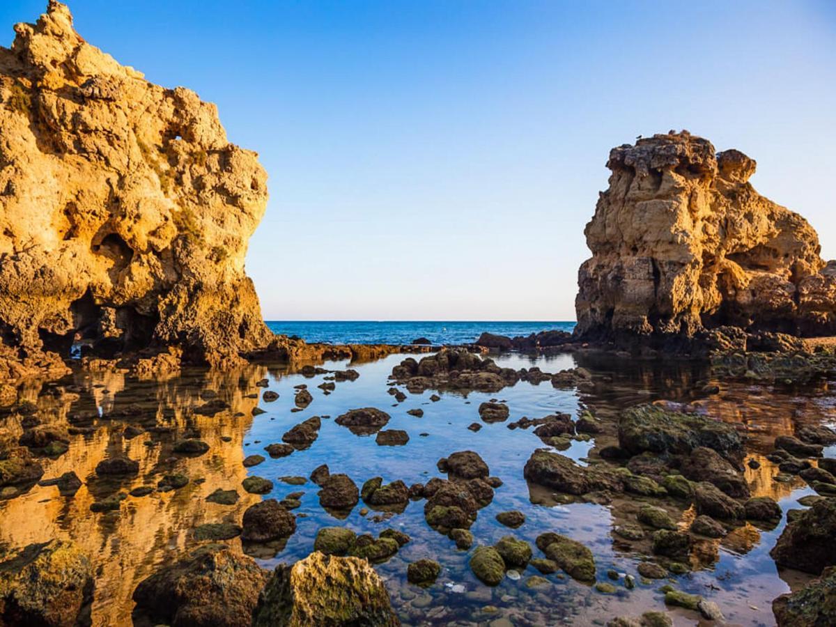 Luxury Apart Wstunning Sea Views, Walk Beach Albufeira Exteriér fotografie